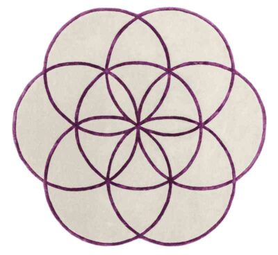 Lotus Purple